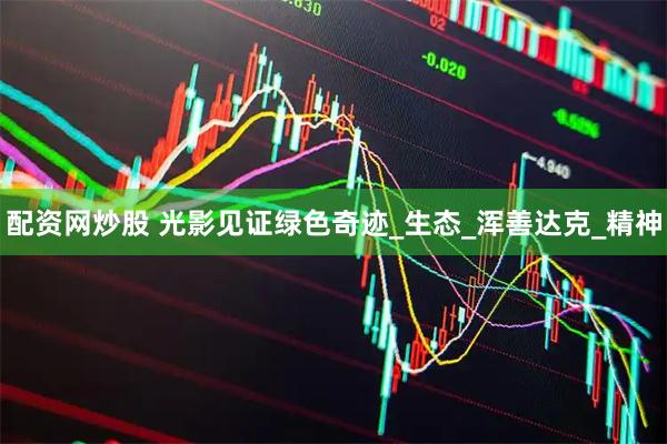 配资网炒股 光影见证绿色奇迹_生态_浑善达克_精神
